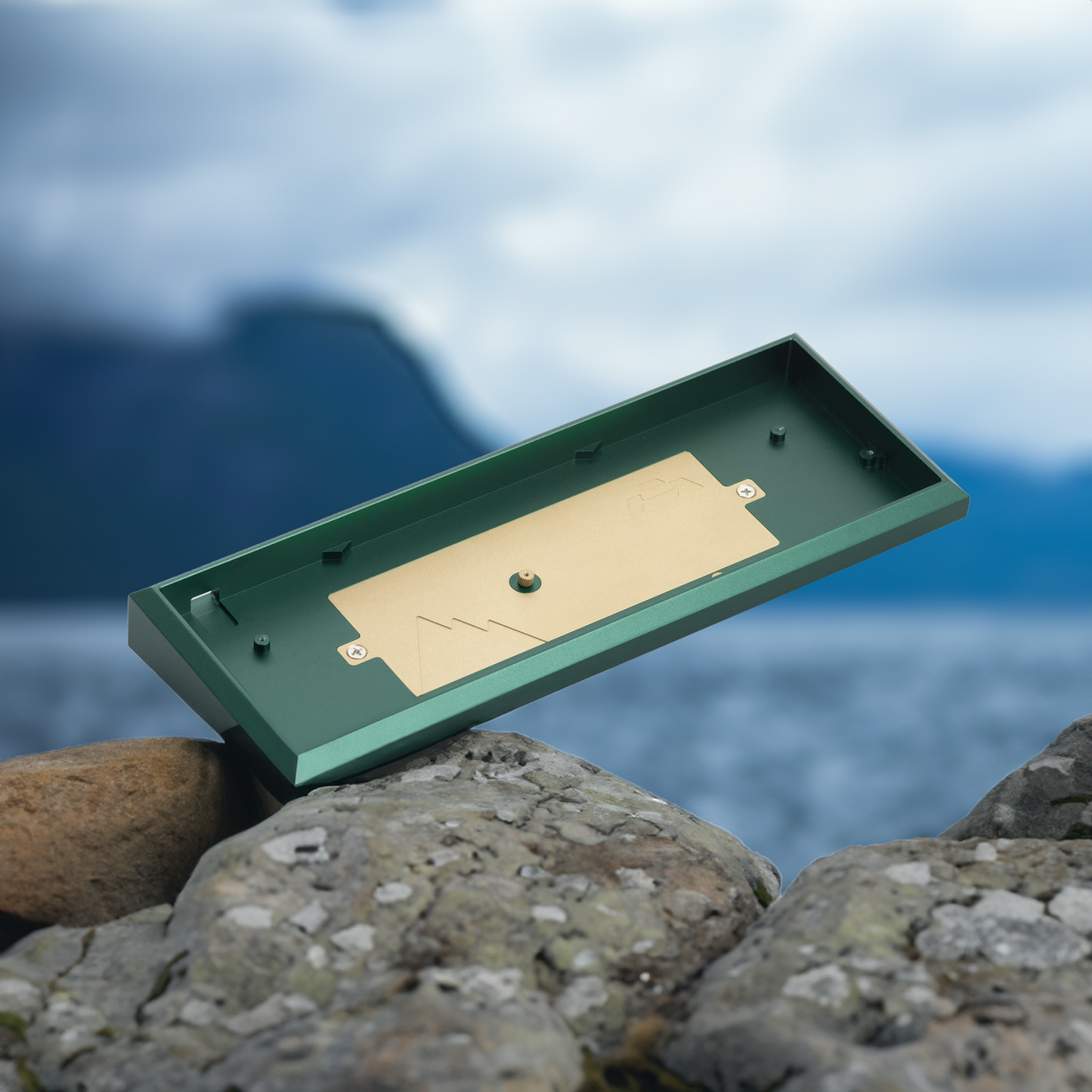 Fjell (60%)